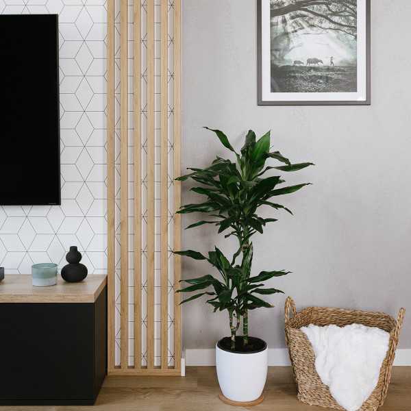 Pannello acustico - 275x30x2,5cm - Bianco Opaco - immagine 11